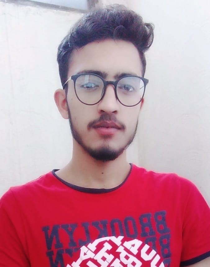 Project Manager & AI/IT Consultant